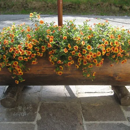 Hotel Casa Della Neve Stresa