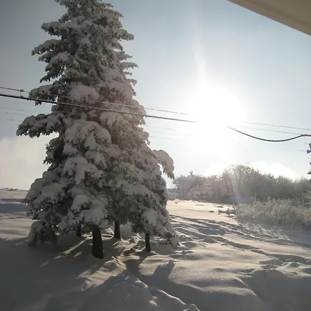 卡萨德拉尼夫酒店 酒店