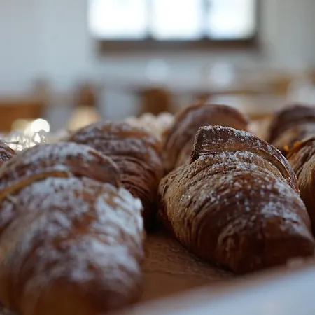 卡萨德拉尼夫酒店 酒店 斯特雷萨