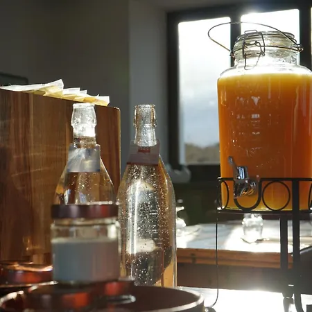 酒店 卡萨德拉尼夫酒店 *